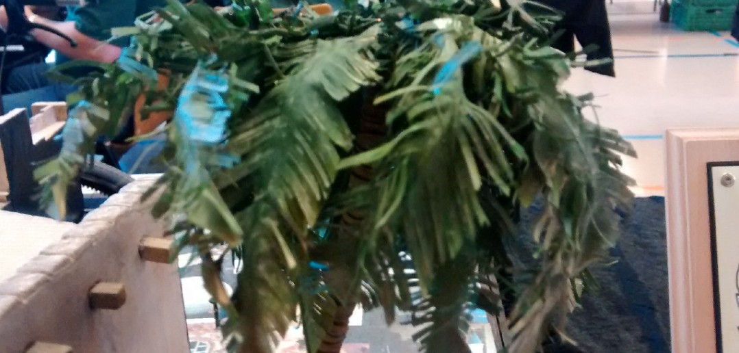 Eine der riesigen Palmen in den Bengasi-Diorama.