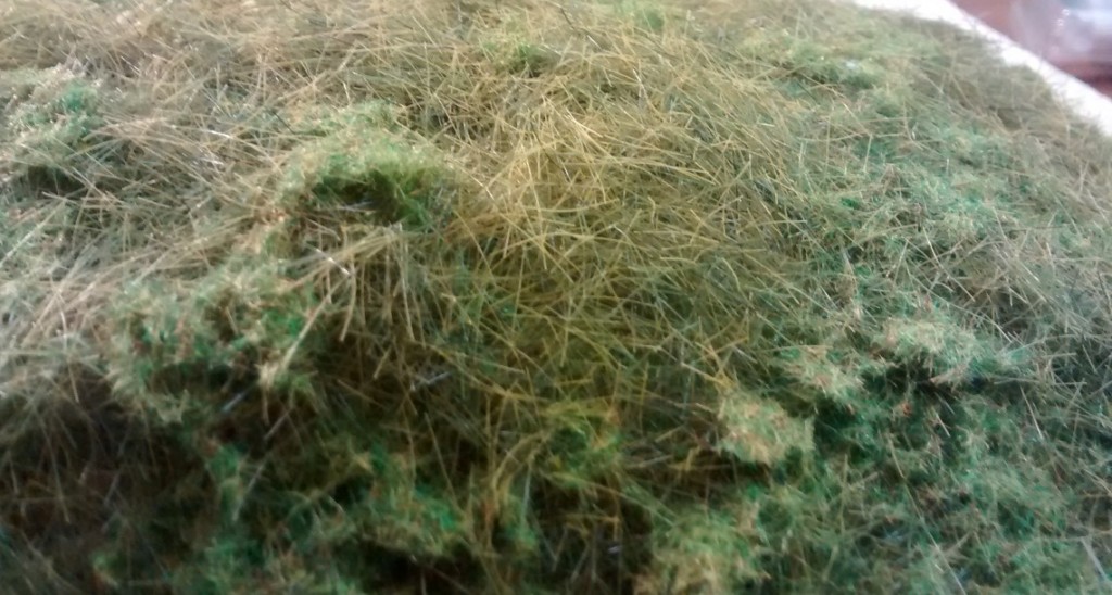 Hier sieht man die Mischung aus langem und kurzem Gras.