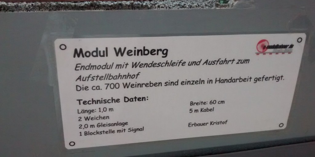 Das Modul des Weinbergs hat etliche Fernsehabende gekostet, während derer die Weinstöcke sämtlichst mit Draht von Hand gedreht wurden, wie Sturmi vom N-Spur-Winzer erfahren hat.