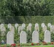 Schlacht am Grebbeberg: Niederlande @ 1940 #5