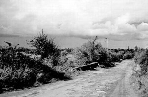 Foto aus der Normandie kurz nach dem D-Day 1944.