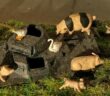 Early War Modelle 1:72: Niederlande @ 1940 #9