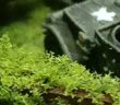 6mm-Kasernen: Zuhause für 520 Zinnsters
