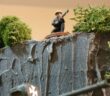 Spielplatte Vietnam, Ebene 1