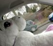Pink Unicorn on Tour: auf der Tactica