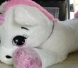 Pink Unicorn goes Rendsburg