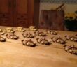 Sturmi Army becomes Red Army?