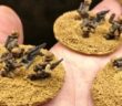 Panzergrenadier-Regiment 104: Schwere Waffen
