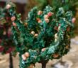 Roter Oktober #37: Bäume für die Spielplatte. Wir pflanzen Bäume (Obstbäume, Laubbäume, Nadelholz) aus dem Modellbahnzubehör auf der Spielplatte Maschinenfabrik "Roter Oktober" in Shturmigrad.