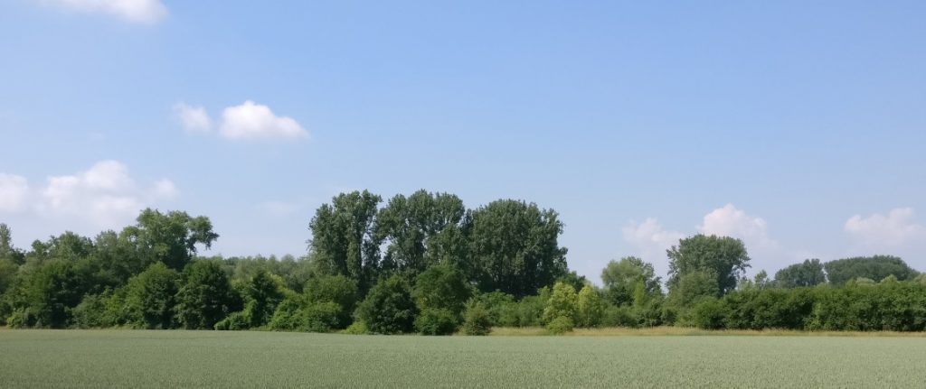 Ein Bild wie dieses habe ich bei der Ausgestaltung des Umlandes vor Augen.