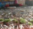Da wächst Gras auf der Bastelunterlage