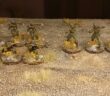 Die 43. Armee rekrutiert - die Klagen des Kommissar Voronkow. Aus dem Revell-Set 02510 "Soviet Infantry" erhält die 43. Armee Zulauf.
