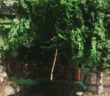 "Birken für Finnland": building battlefield scenery - birch trees