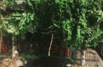 "Birken für Finnland": building battlefield scenery - birch trees