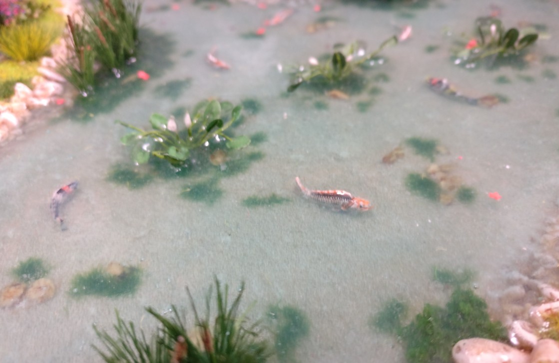 Ein Dutzend Kois schwimmen im Teich der Bushido-Spielplatte "japanischer Garten" der Ad Arma.