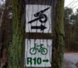 Usedom: Zur Artillerie bitte rechts halten