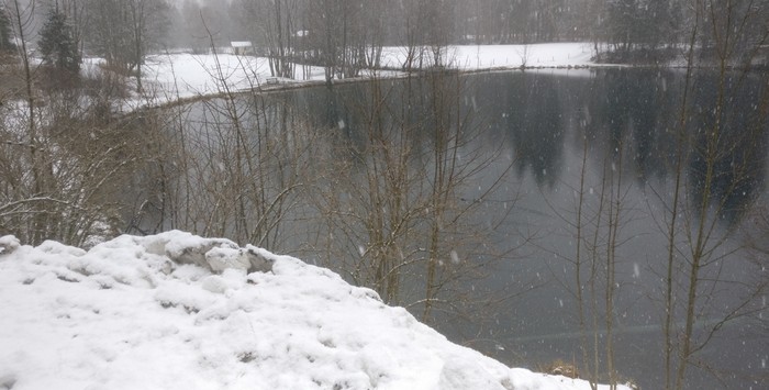 Vereinzelte kahle Bäume im Winter am Christlessee...