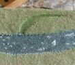 Ein Gebirgsbach für PBI und Battlegroup