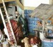 Freebooters Fate Platte: Honischers Geheimprojekt