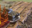 PBI-Battle: "Russland 1941", gespielt nach dem Regelwerk "Poor Bloody Infantry" in der Monnemer Einhorn-Arena