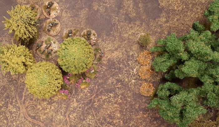 Mehrere deutsche Maschinengewehre sind in diesem Wald in Stellung gegangen. Bitte auf den Boden achten: die Deep Cut Game Mat Muddy Field.