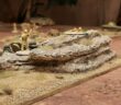 Deep Cut Game Mat "Savanna": ein wenig Tobruk und so