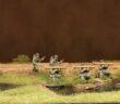 Offiziere und Support für das Infanterie-Regiment 510