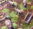 Tabletop: oder "der Weg ist das Ziel" (Foto: XENA)