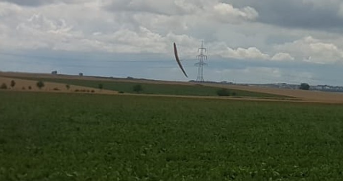 Der Fliescher im Landeanflug Richtung Rübenfeld.