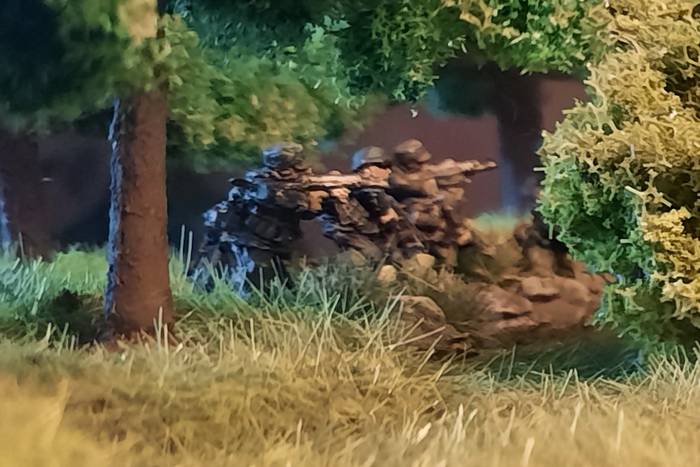 Im Wald sind Panzergrenadiere in Stellung gegangen.