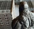 Godzilla Rules: Die Regeln für Udos TableTop (Foto: Udo Zipelius)