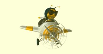Weltbienentag 2022: Thomas baut eine Bienenbeute (Foto: shutterstock - Julien Tromeur)