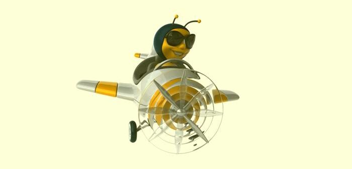 Weltbienentag 2022: Thomas baut eine Bienenbeute (Foto: shutterstock - Julien Tromeur)