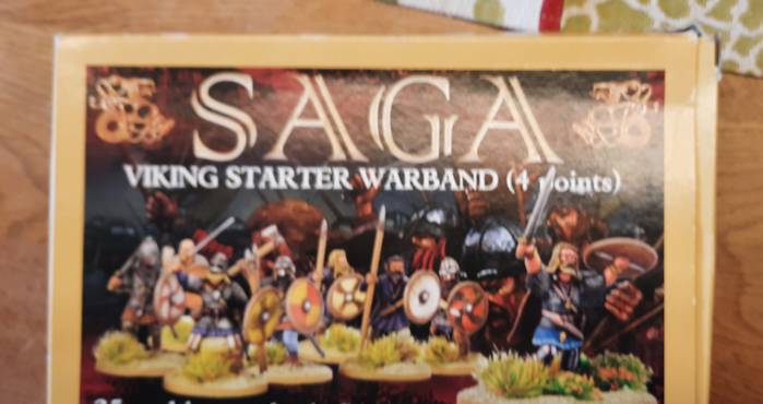 SAGA Viking Starter Warband (4 Points)