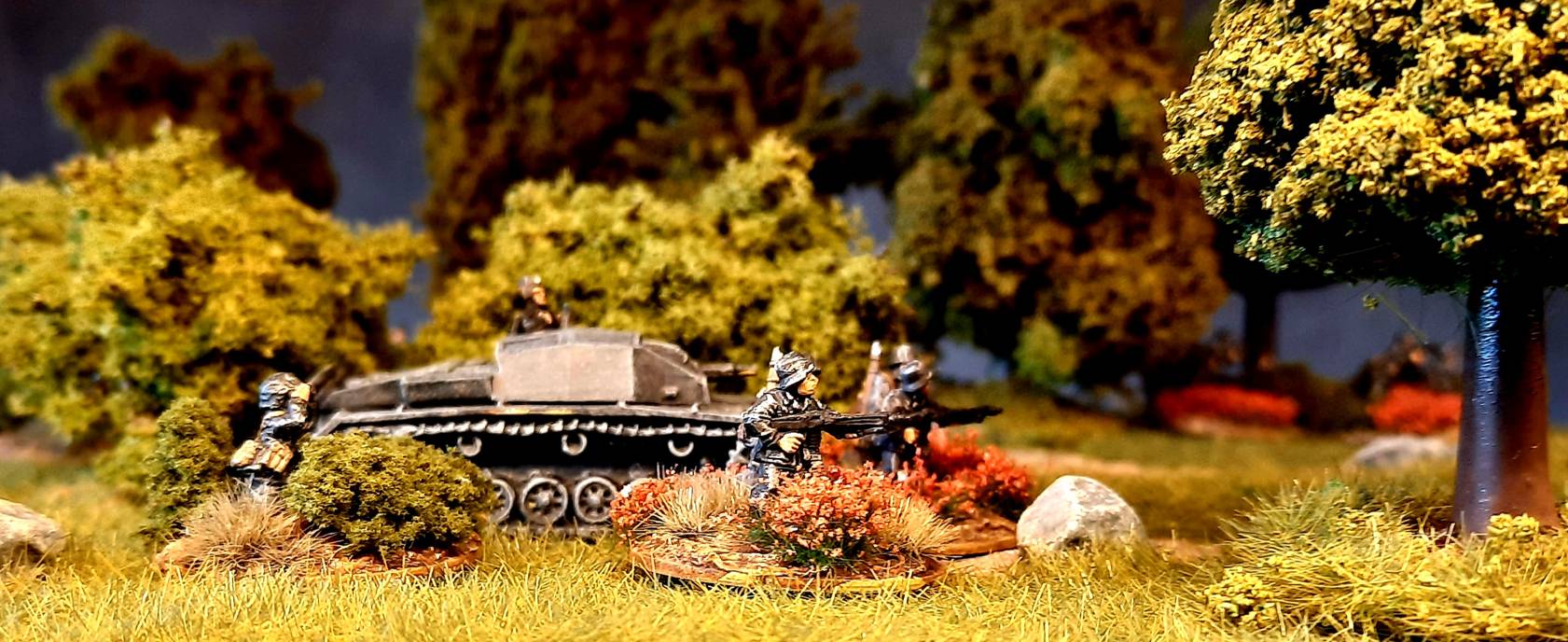 Die frisch gebackenen Panzergrenadiere auf ihrer ersten Übung im Shturmigrader Stadtwald.