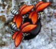Canoptek Forge Bees: Killerbienen für One Page Rules
