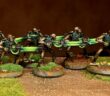 12 Necron Warriors