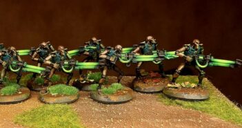 12 Necron Warriors