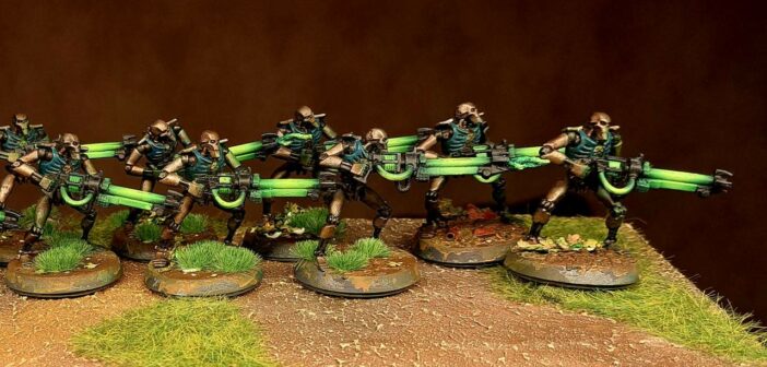 12 Necron Warriors
